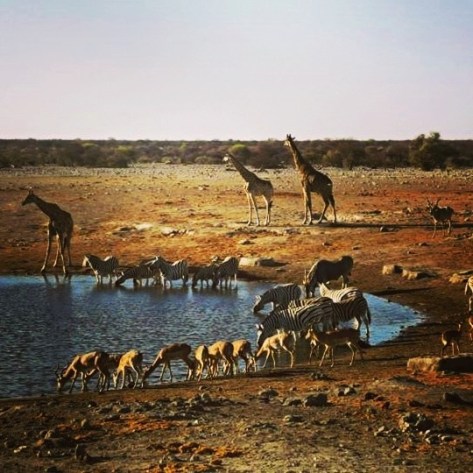 Namibia (7)