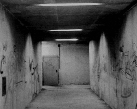 tumblr_my0i0e1pvX1s2z8g7o1_500